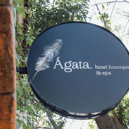 Agata Hotel Boutique & Spa メキシコシティ エクステリア 写真