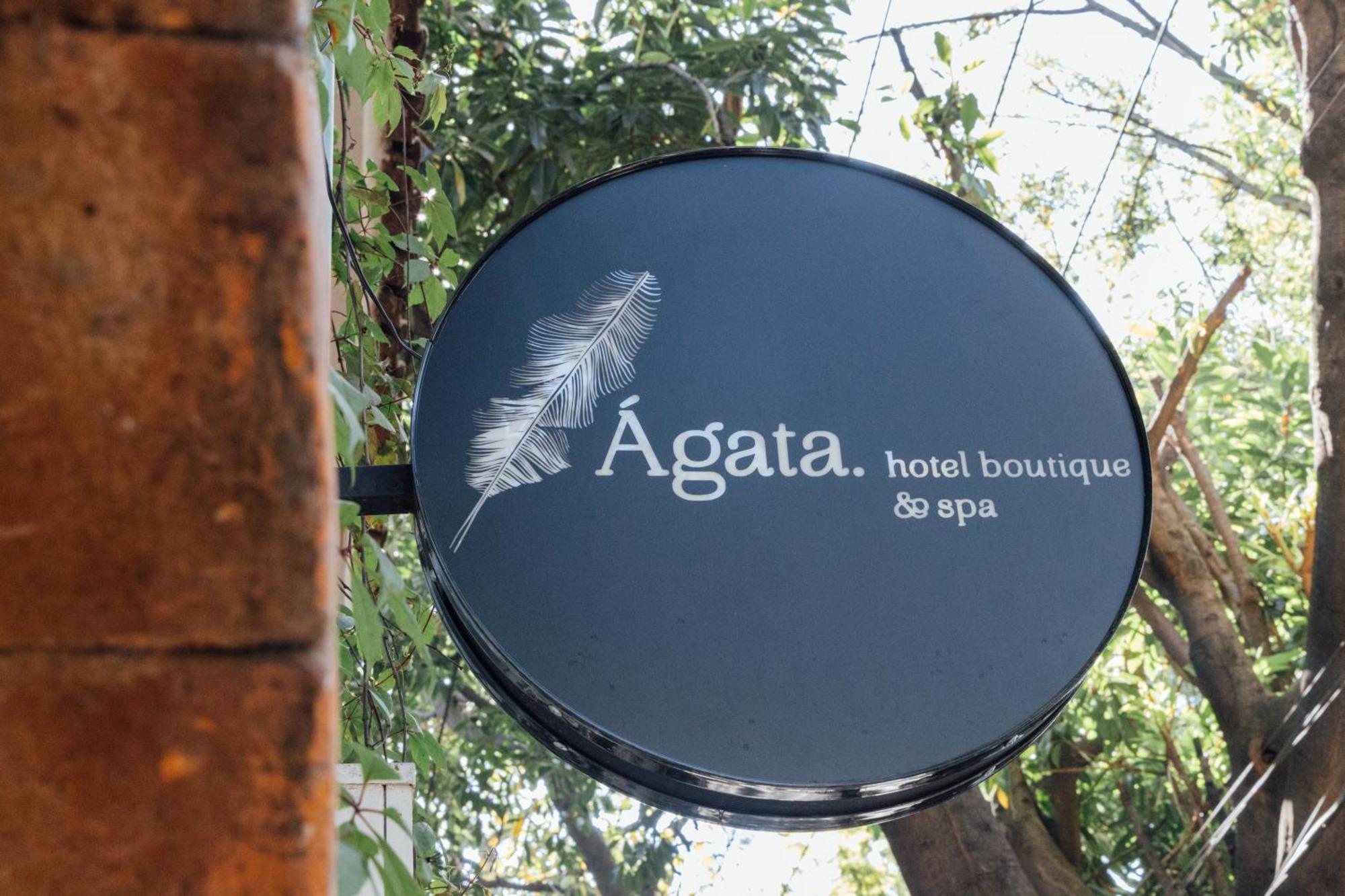 Agata Hotel Boutique & Spa メキシコシティ エクステリア 写真
